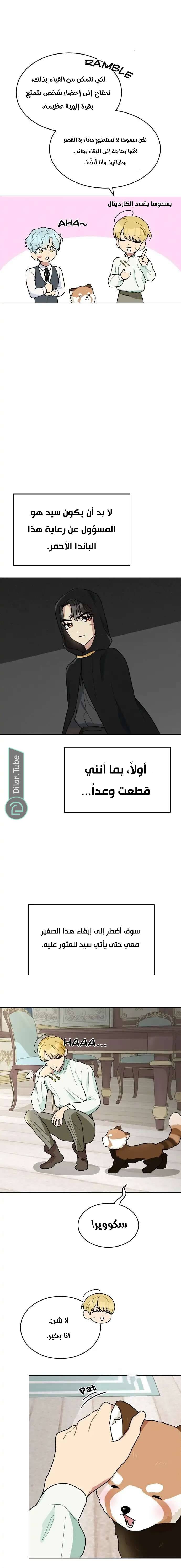 الصفحة 15