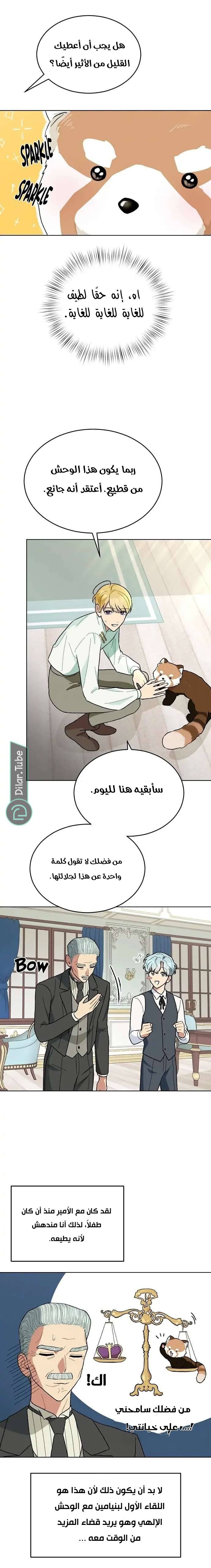 الصفحة 16