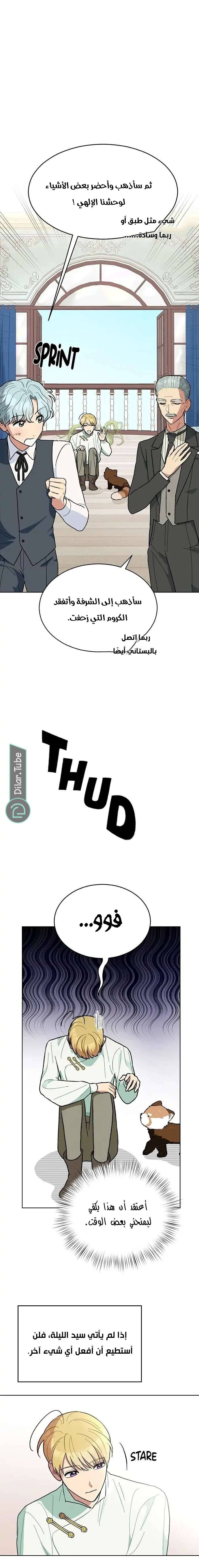 الصفحة 17