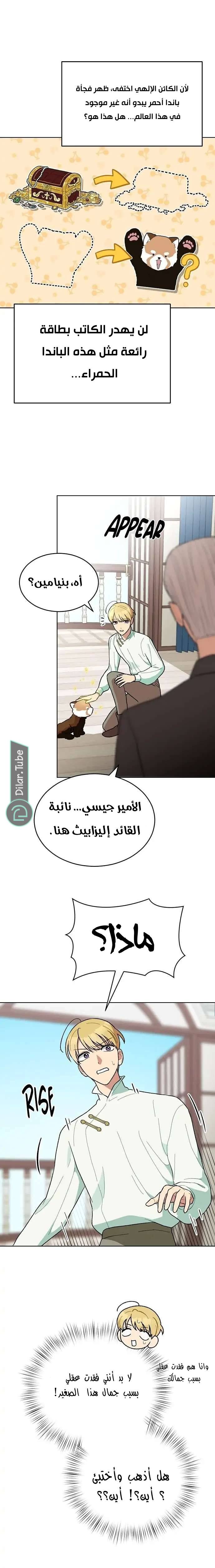 الصفحة 19