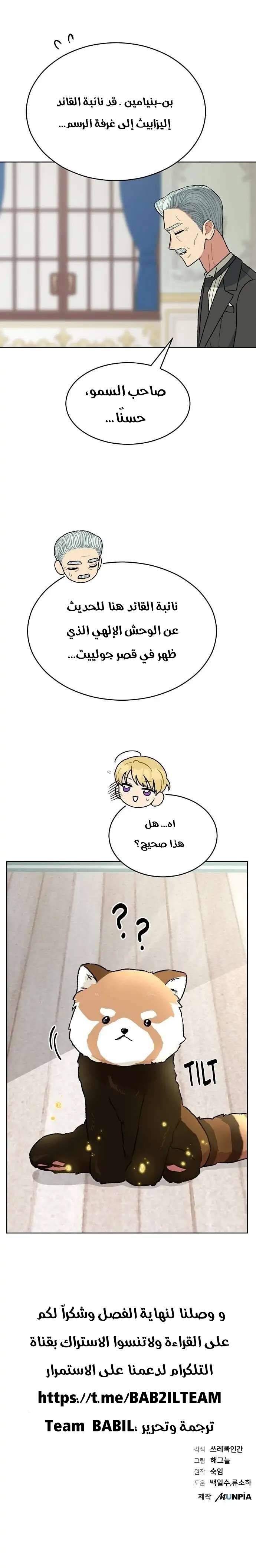 الصفحة 20