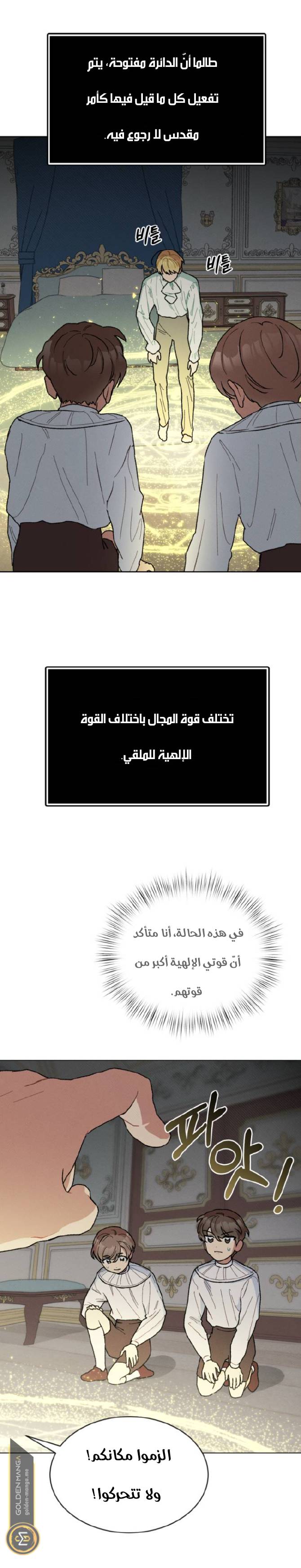 الصفحة 11
