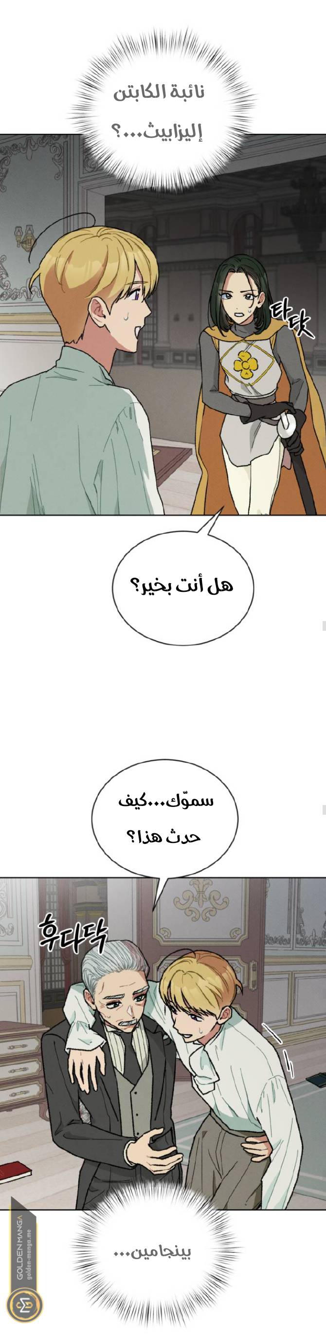 الصفحة 13