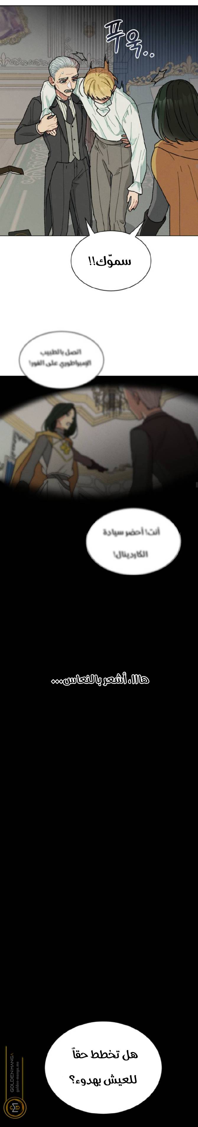 الصفحة 15