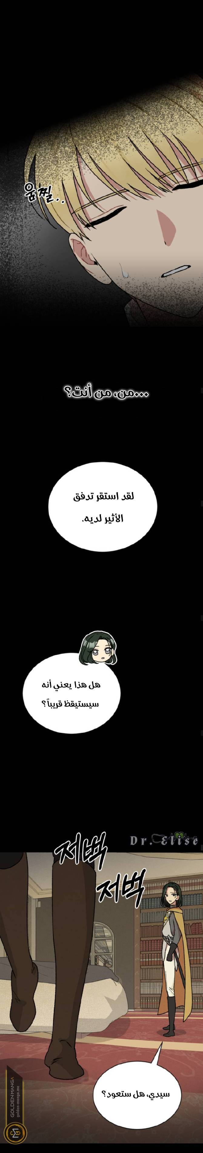الصفحة 16