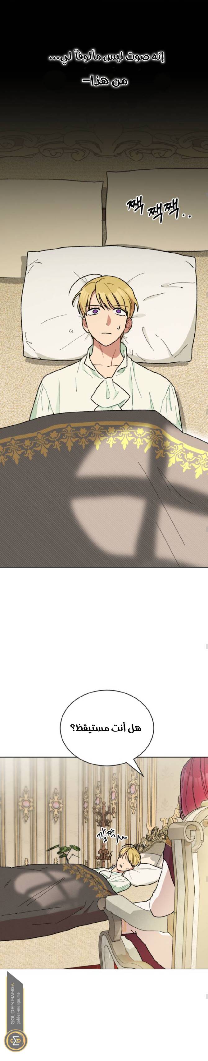 الصفحة 17