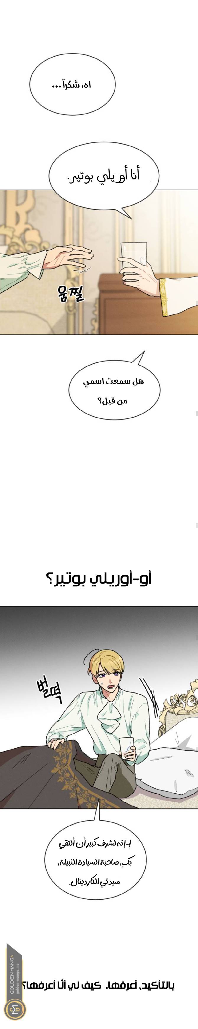 الصفحة 19