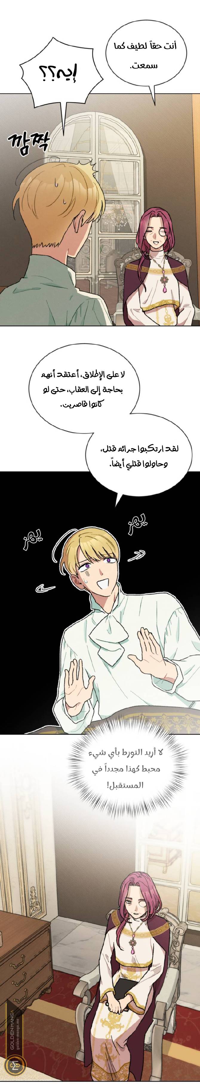 الصفحة 29