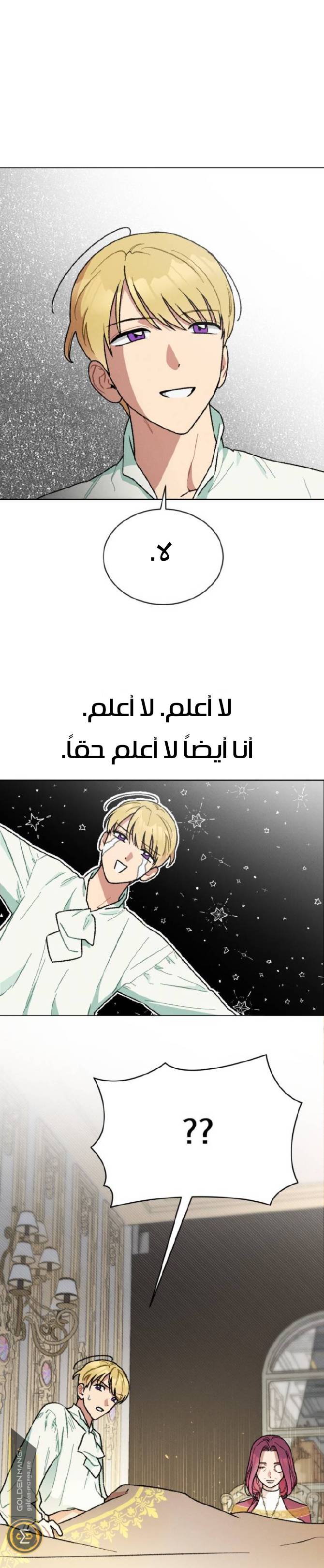 الصفحة 39