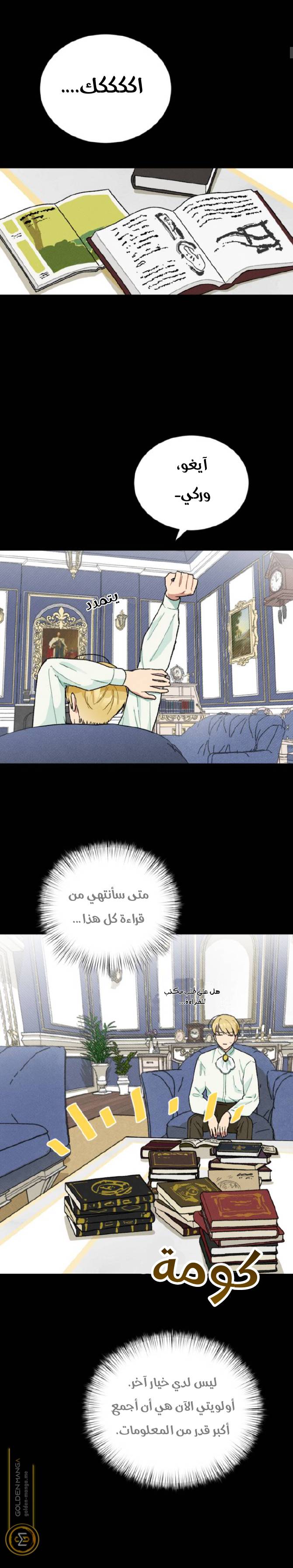 الصفحة 3