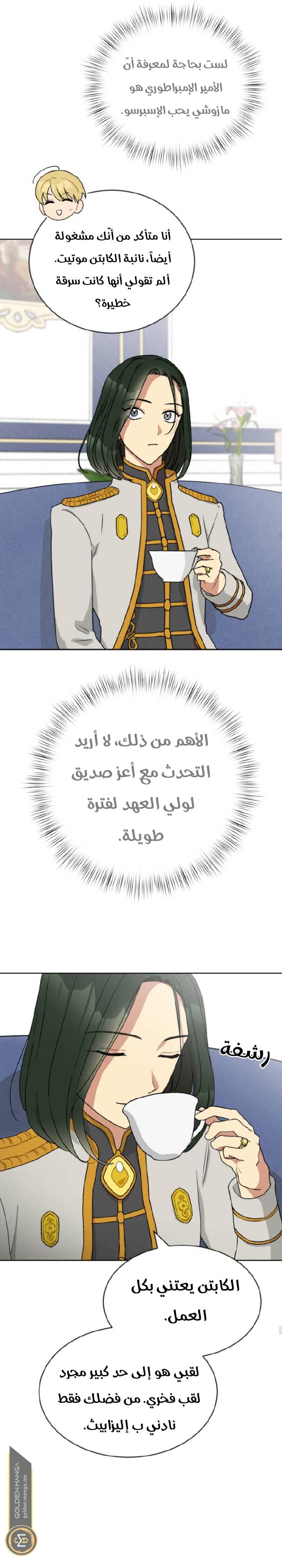 الصفحة 13