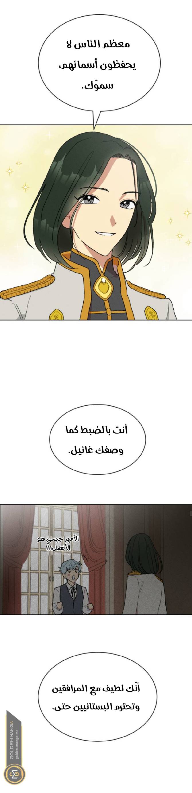 الصفحة 17