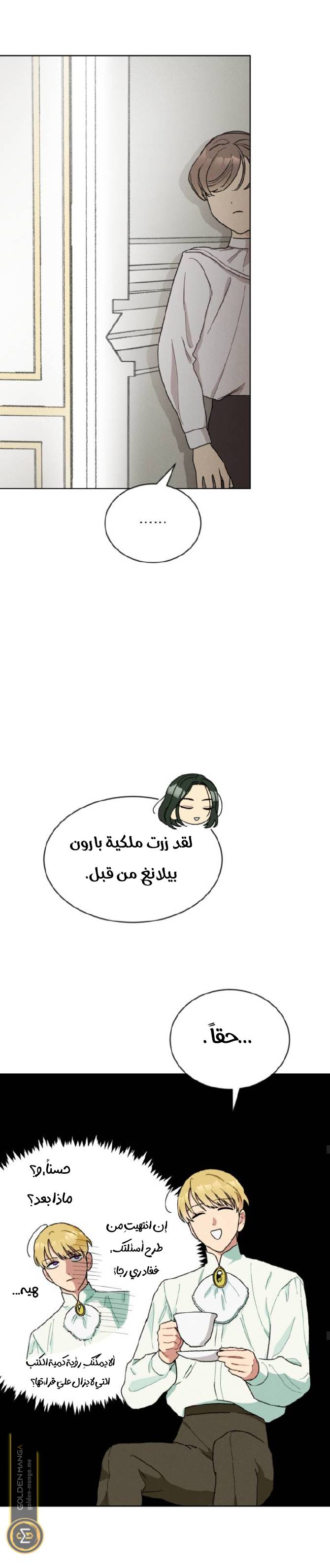 الصفحة 19