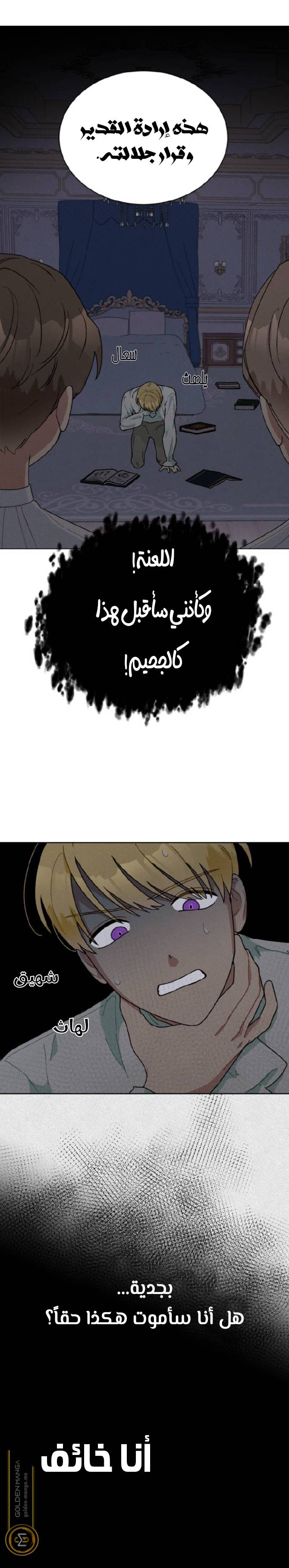 الصفحة 31