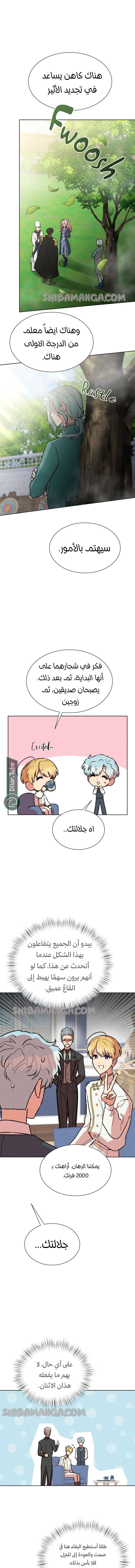 الصفحة 11