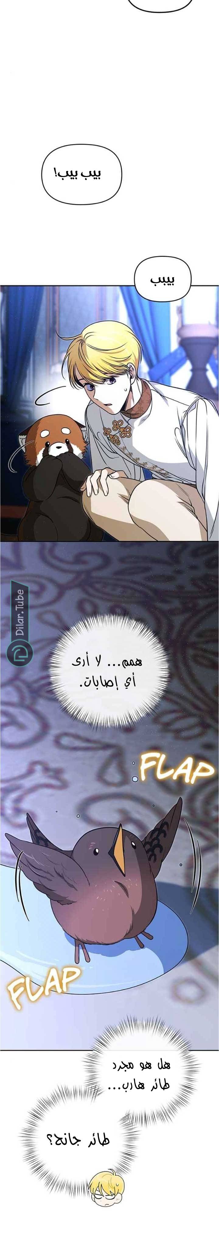الصفحة 3