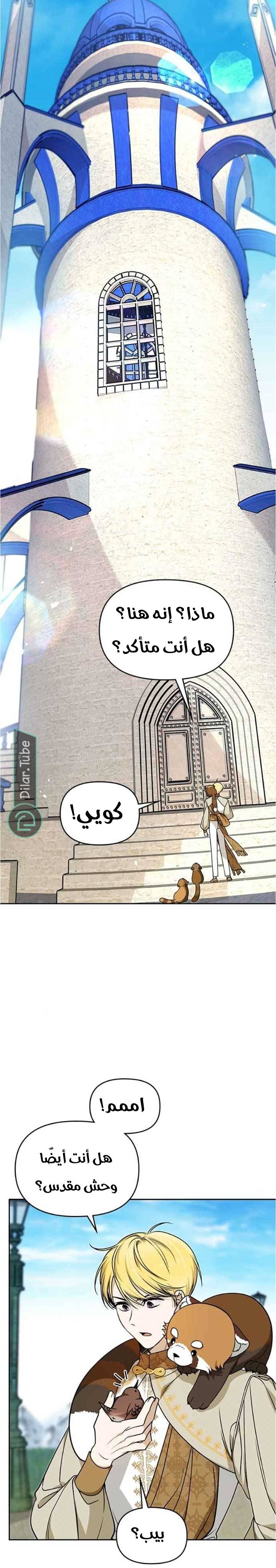 الصفحة 6