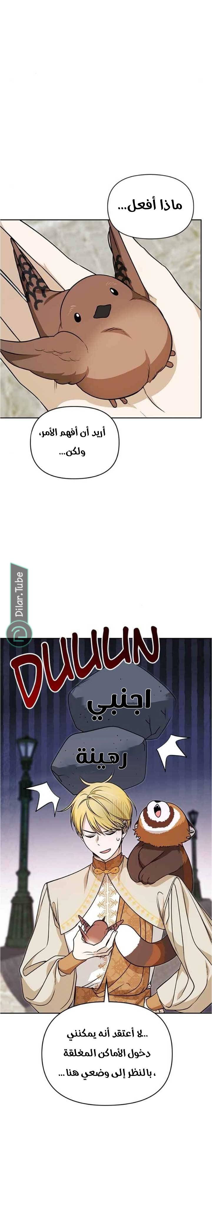 الصفحة 7