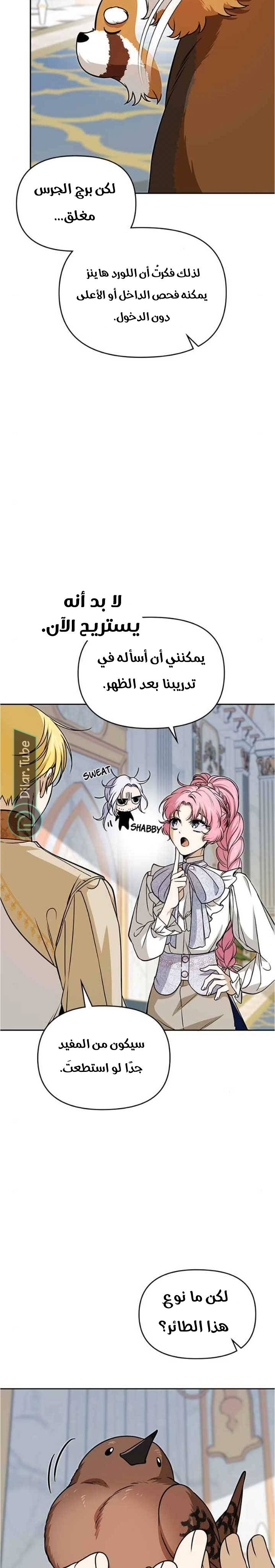 الصفحة 14