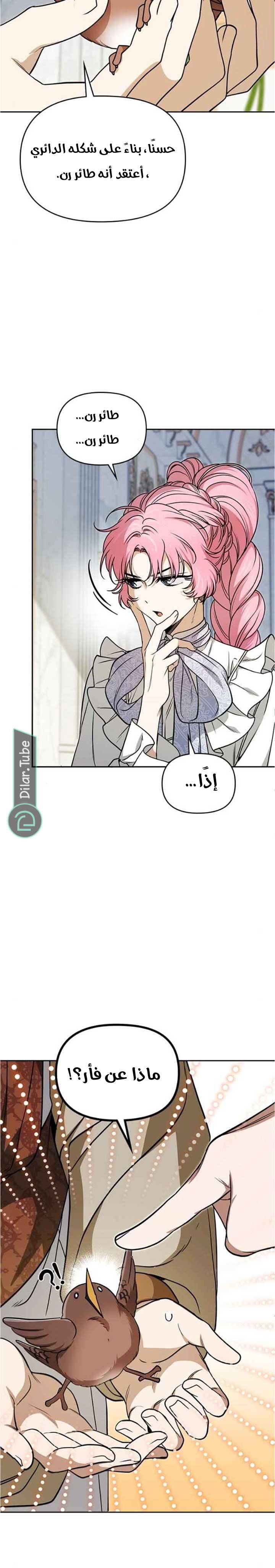 الصفحة 15