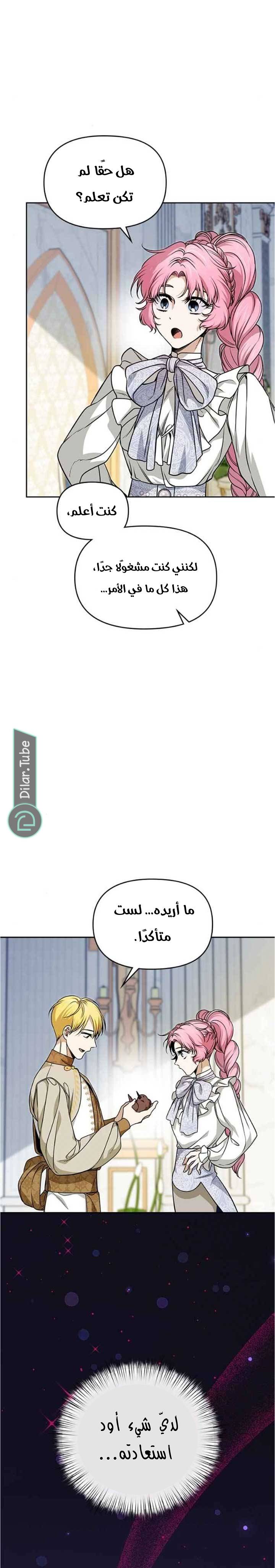 الصفحة 19