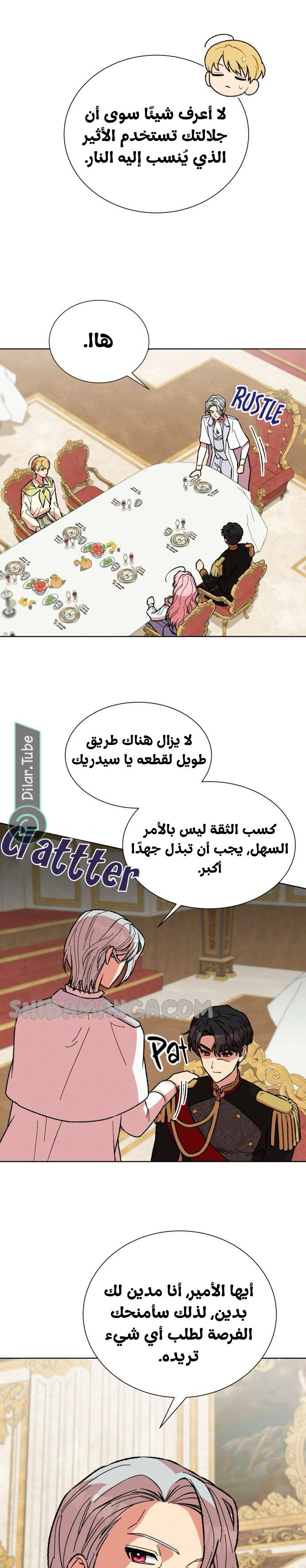 الصفحة 12