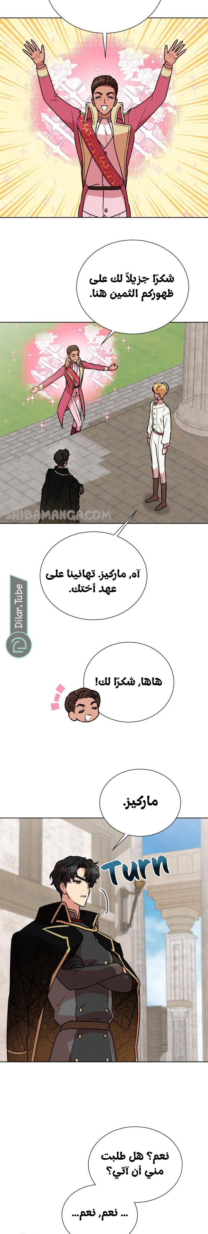 الصفحة 15