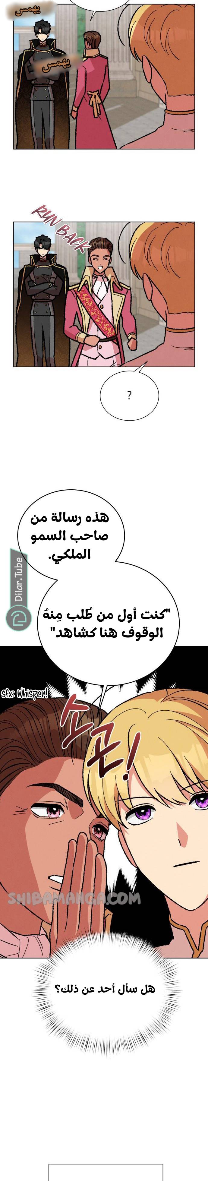الصفحة 16