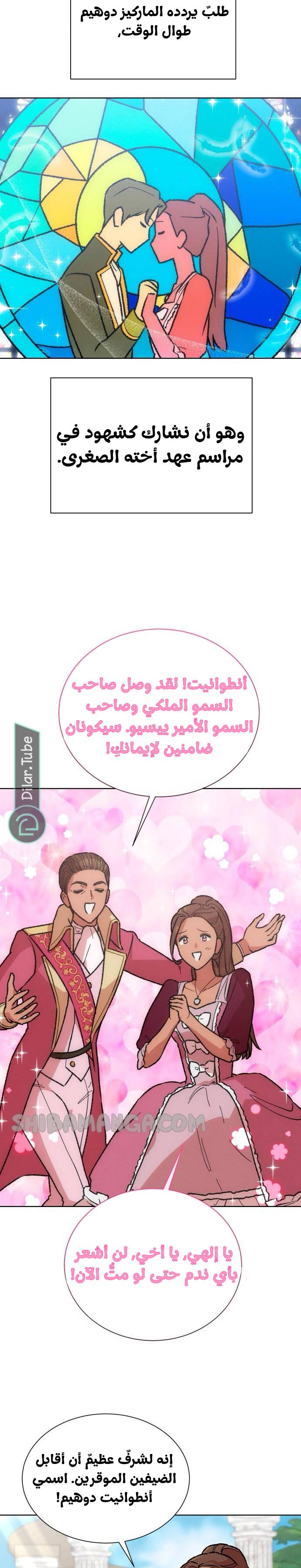 الصفحة 17