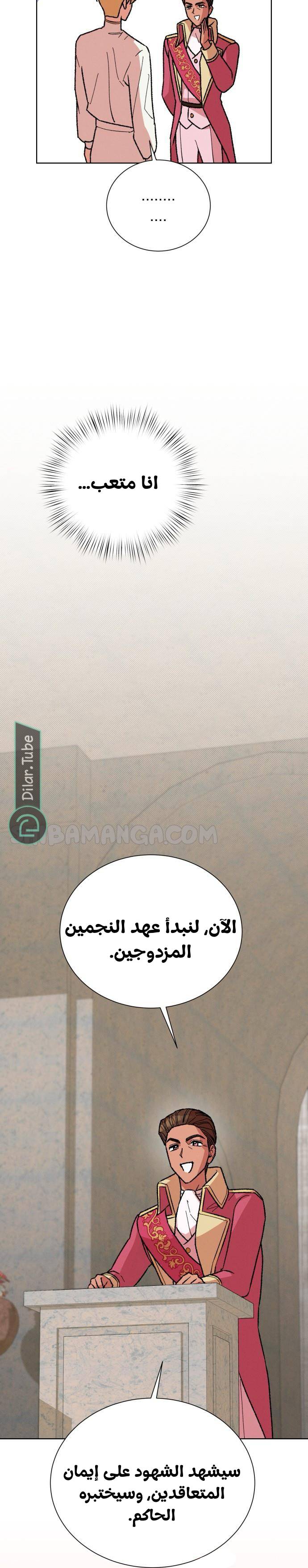 الصفحة 19
