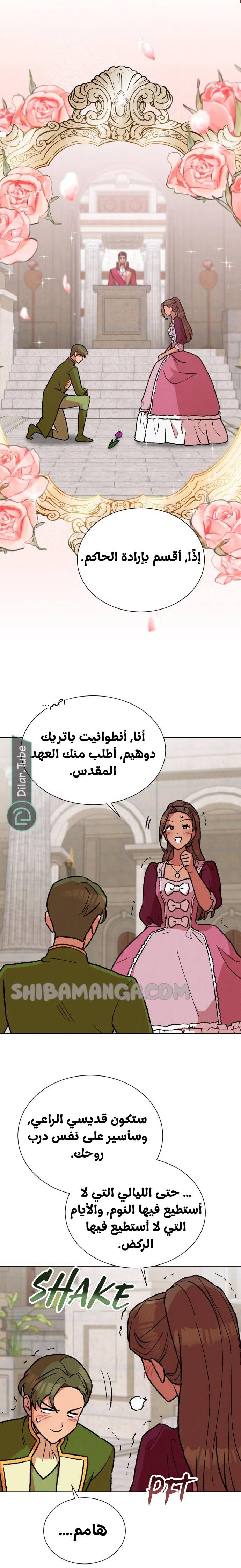 الصفحة 20
