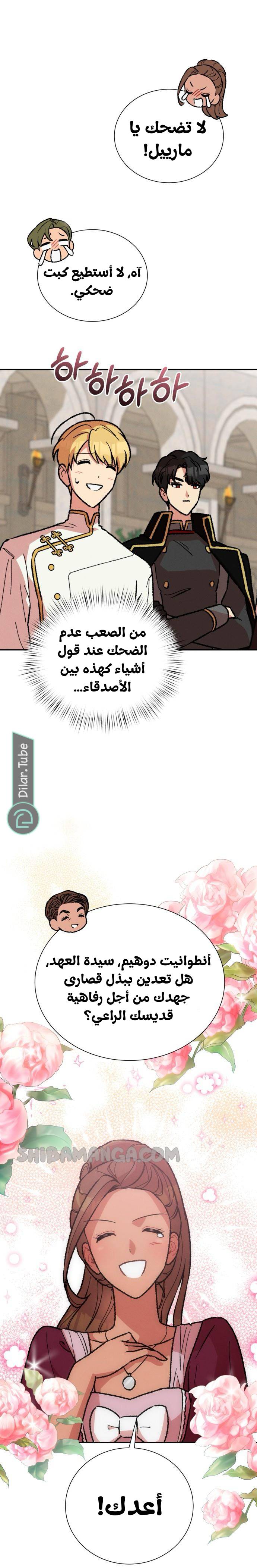 الصفحة 21
