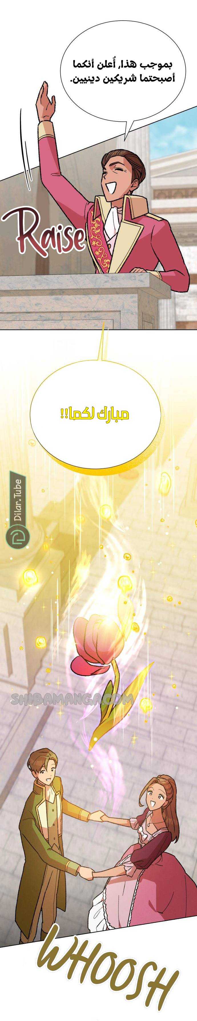 الصفحة 22