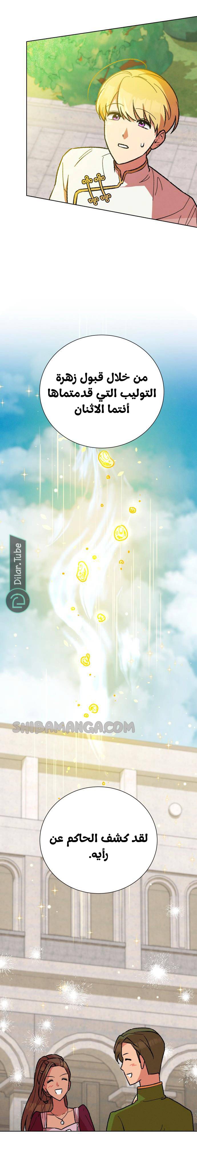 الصفحة 23