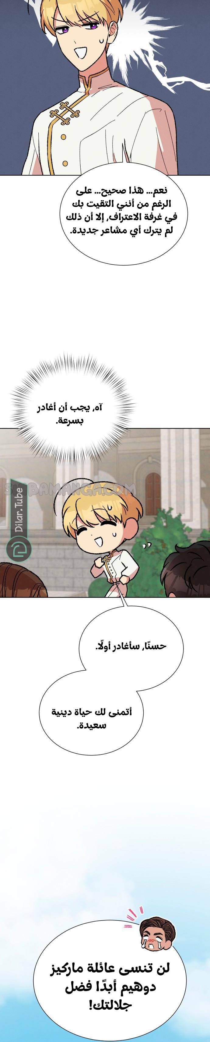 الصفحة 27