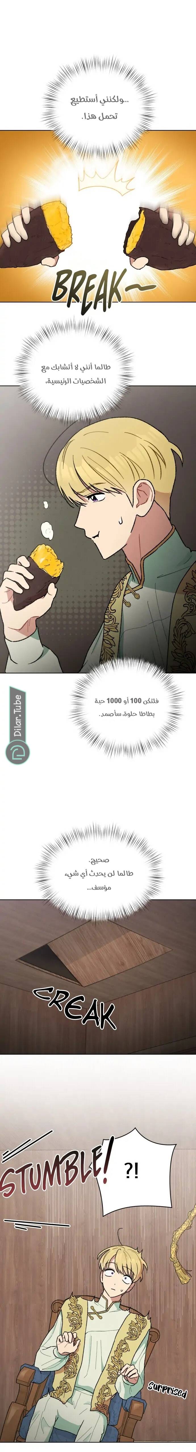 الصفحة 8