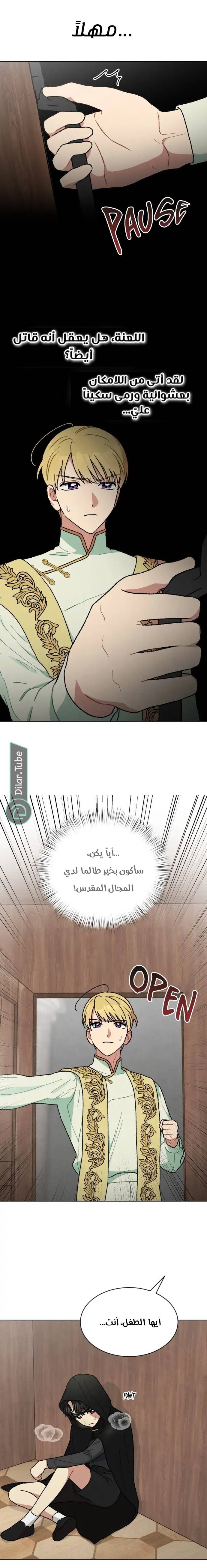 الصفحة 12