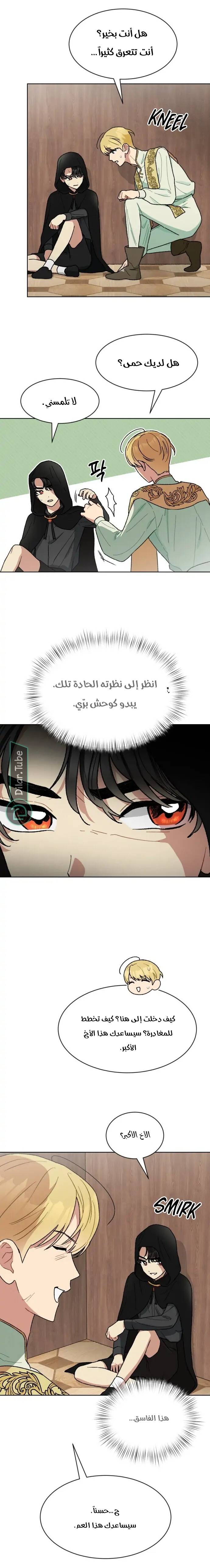 الصفحة 13