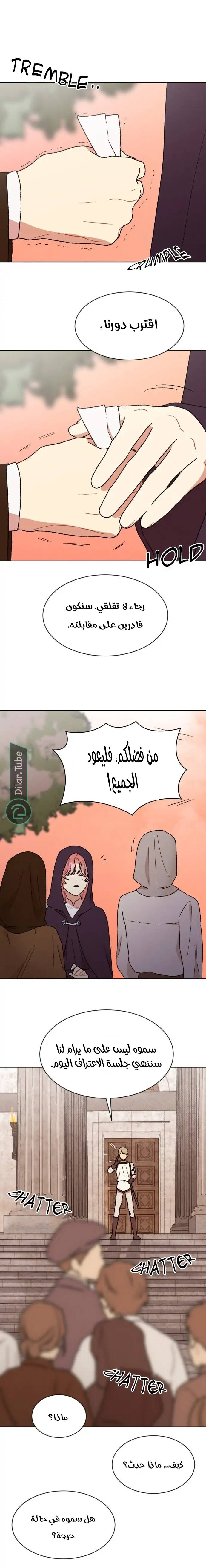 الصفحة 17