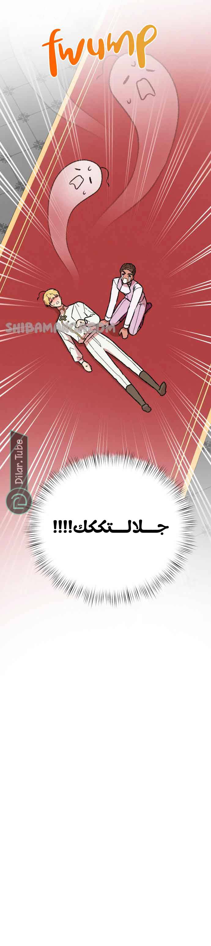 الصفحة 19