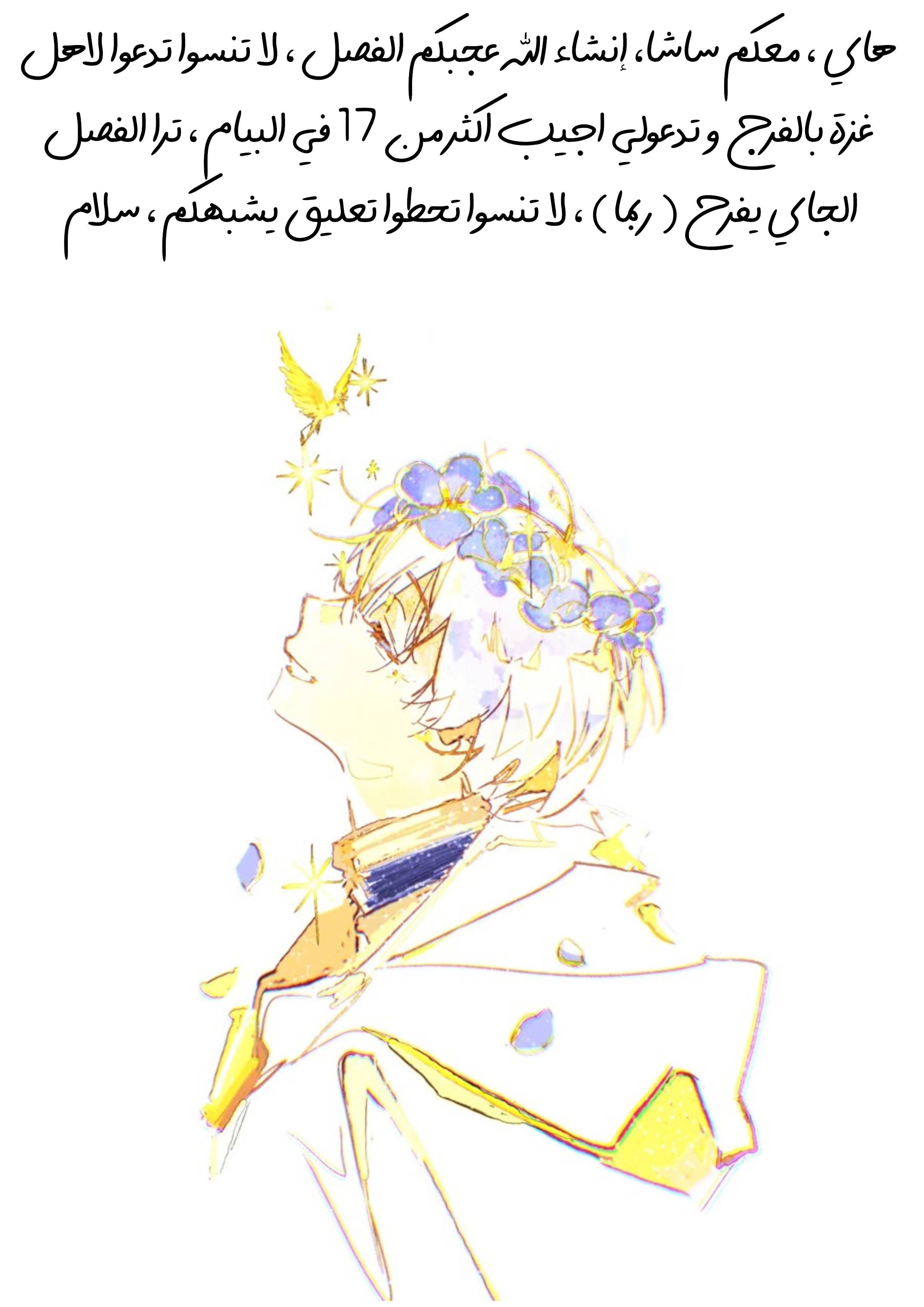 الصفحة 14