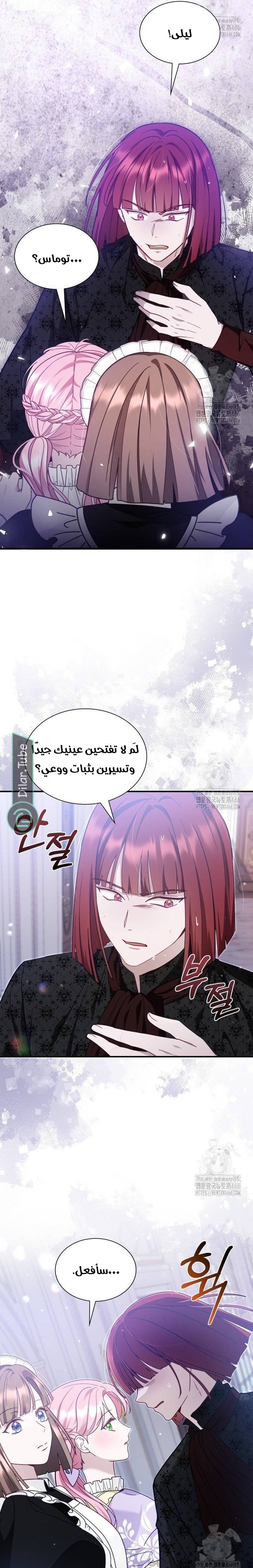 الصفحة 13