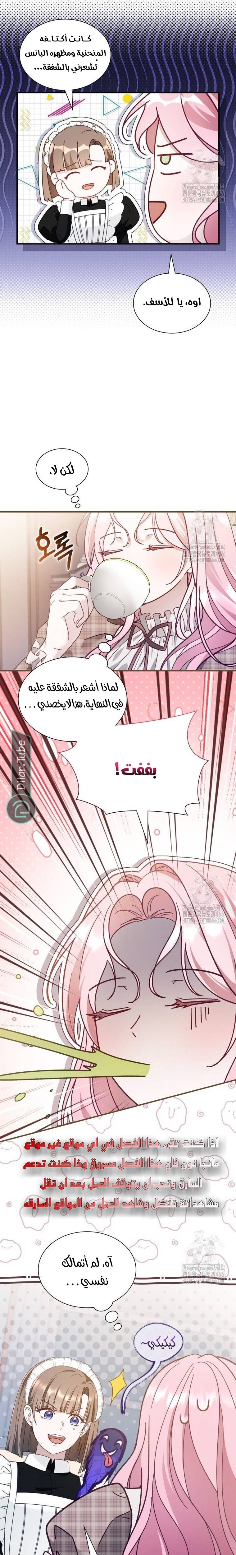 الصفحة 19