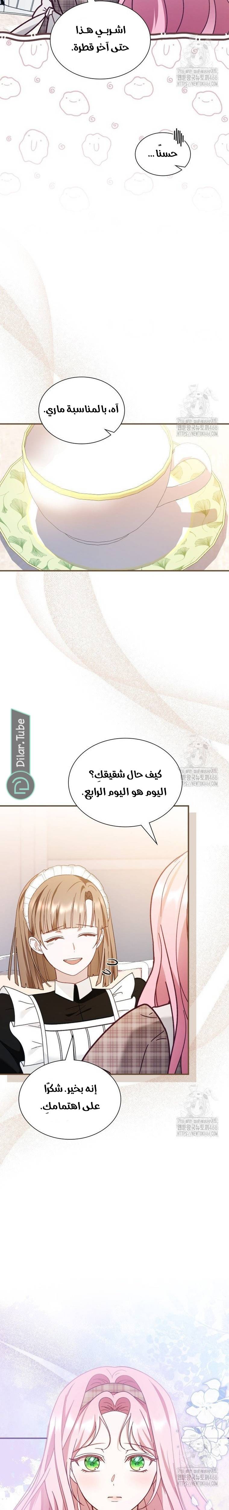 الصفحة 20