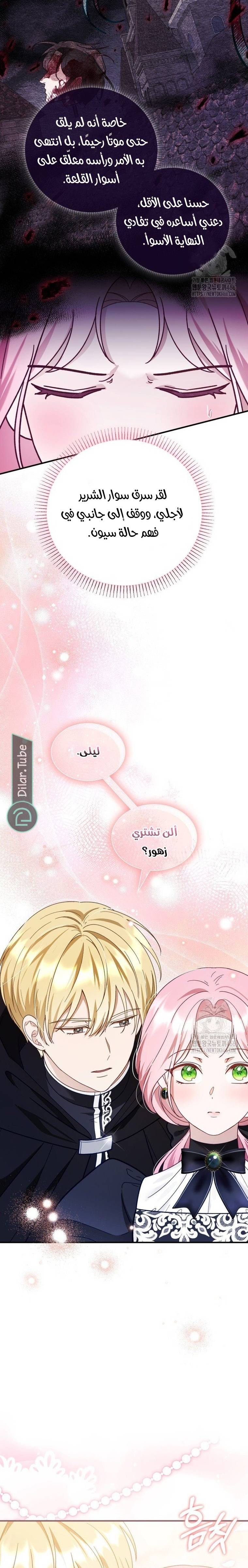 الصفحة 17