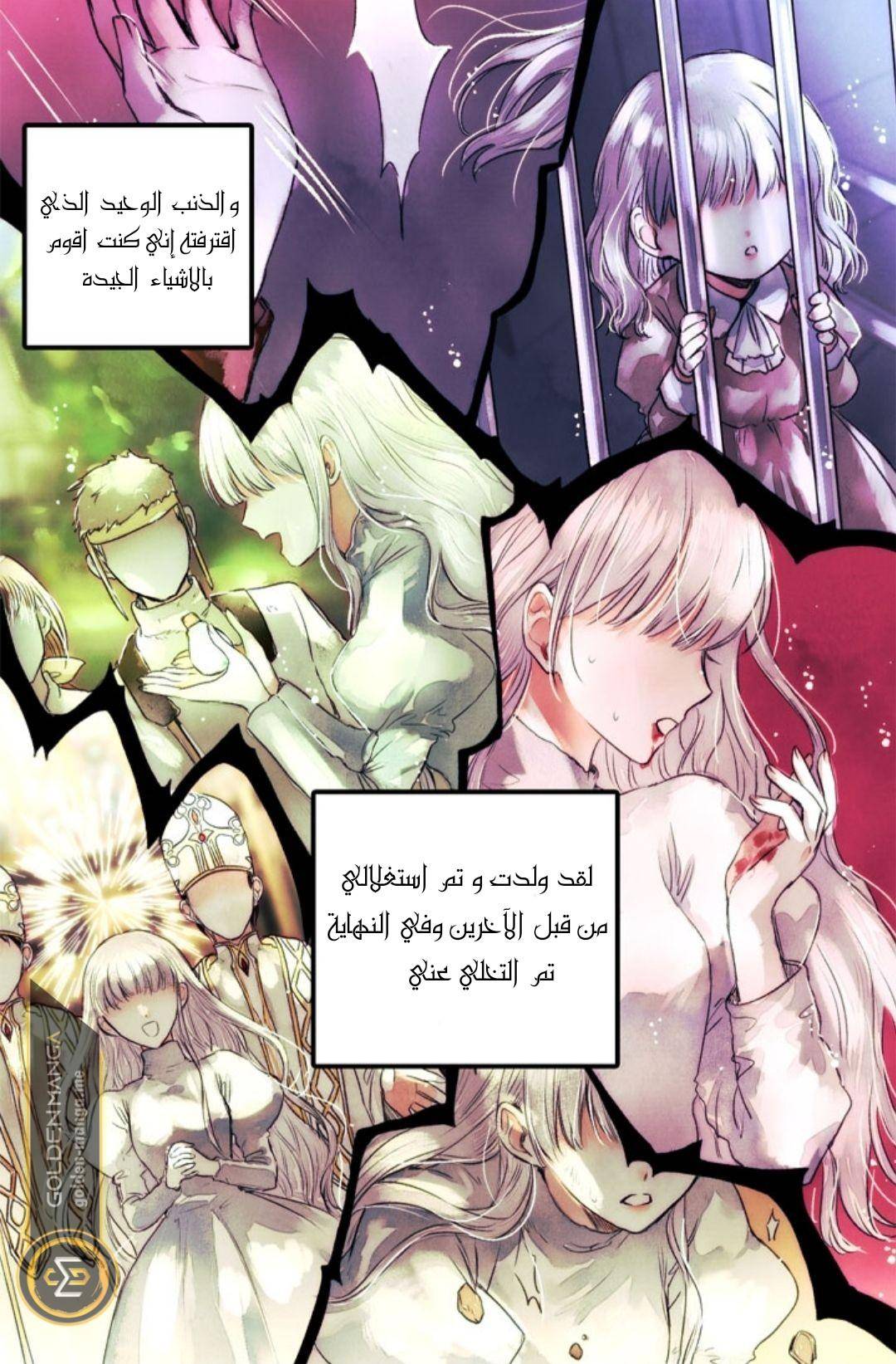 الصفحة 3
