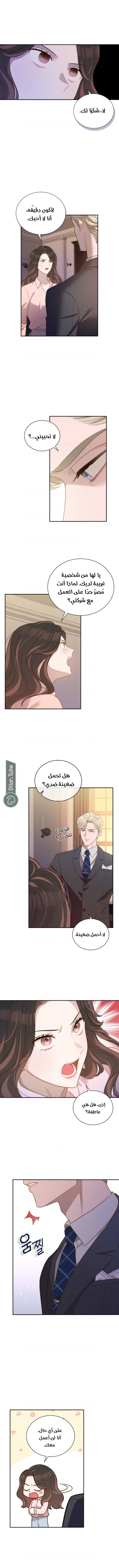 الصفحة 6