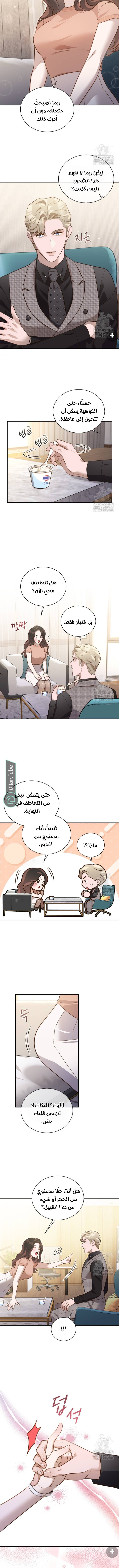 الصفحة 7