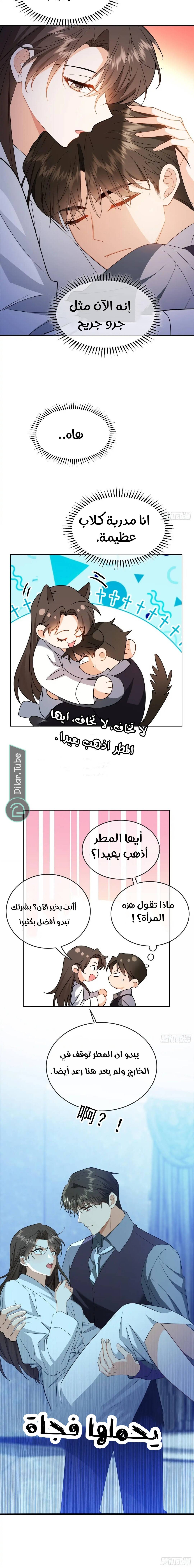 الصفحة 11