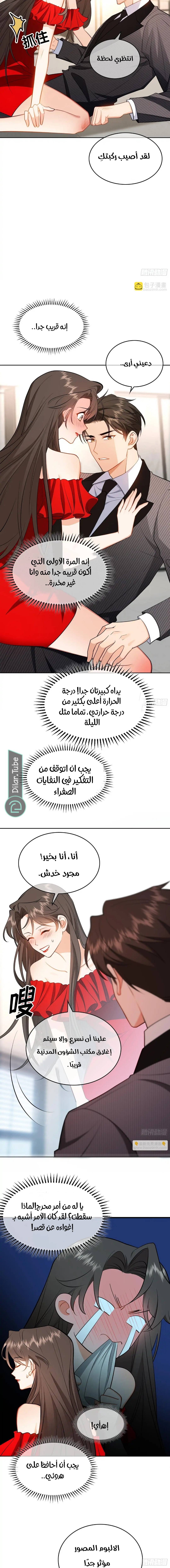 الصفحة 8